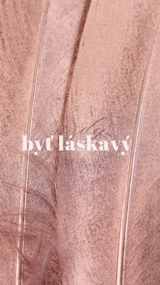 Priateľské tkaniny pink modern-simple