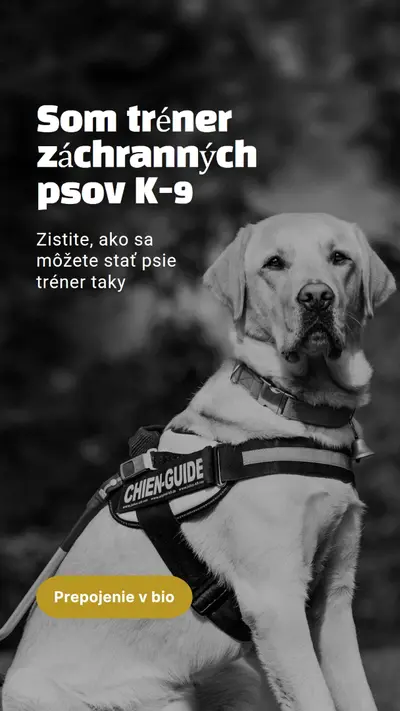 Som tréner záchranných psov black modern-simple