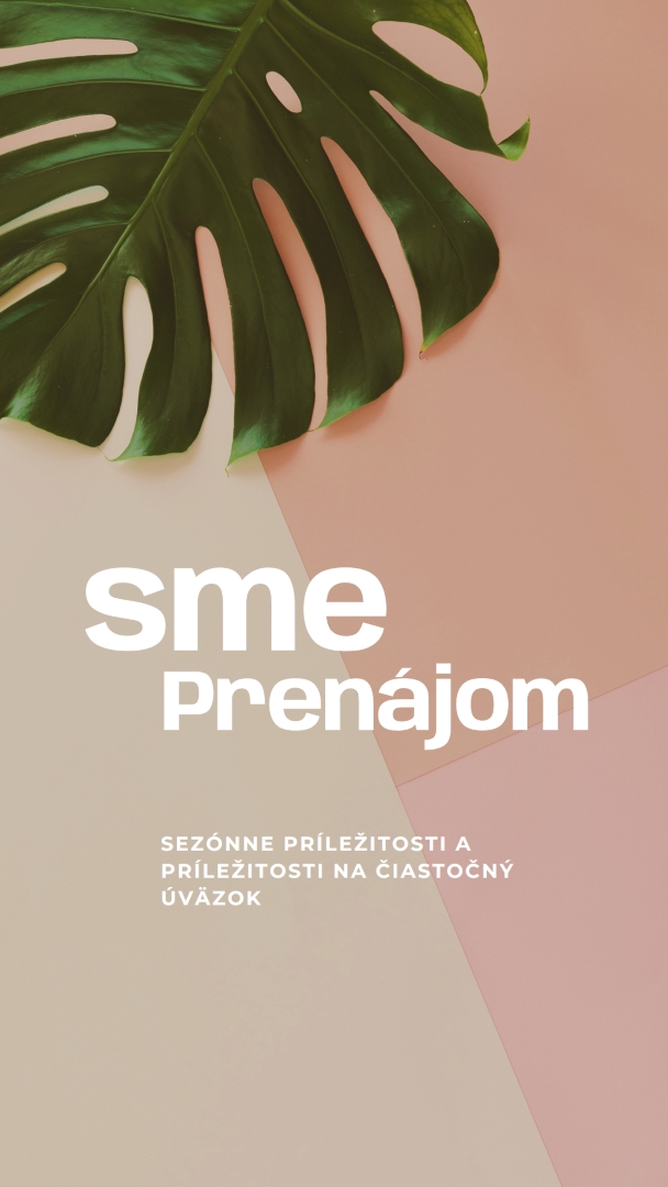 Prijímame sezónnych pracovníkov pink modern-simple