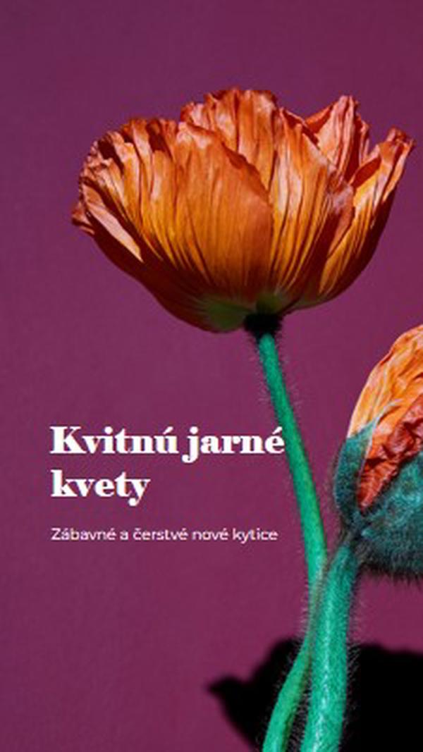 Čerstvé kvety purple modern-simple