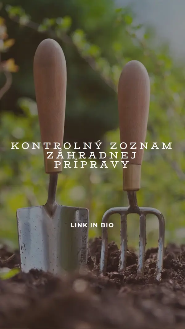 Hoď do hladiska green modern-simple