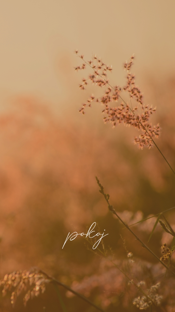 Polia serenity brown modern,minimal,nature,quiet,soft,plants