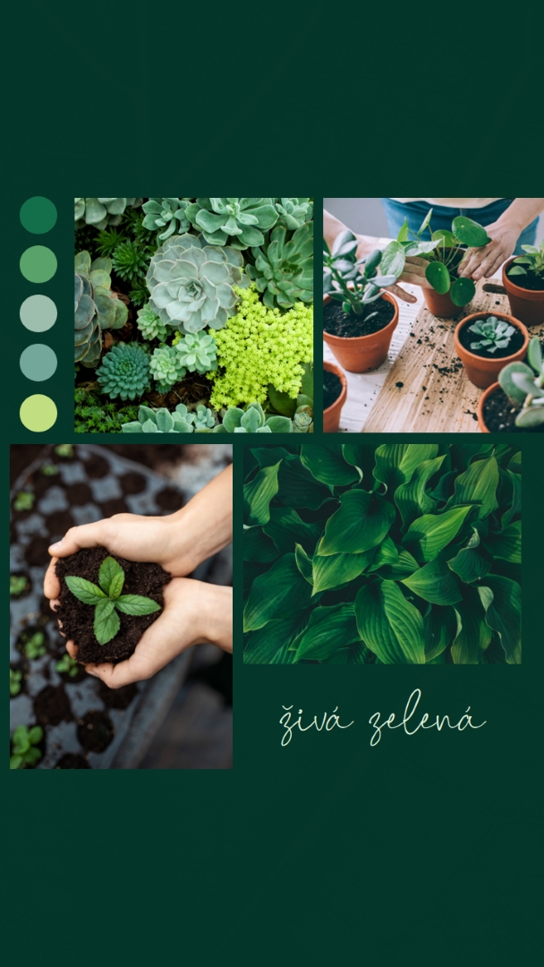 Živý zelený palec green photographic,simple,collage,palette,handwriting,graphic