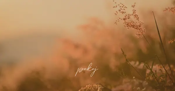 Polia serenity brown modern,minimal,nature,quiet,soft,plants