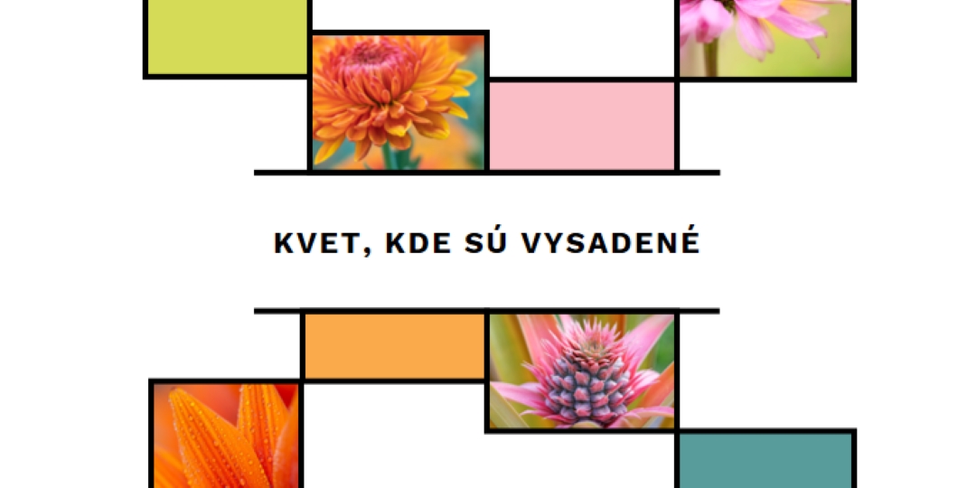 Bloom, kde ste zasadil white modern-geo-&-linear