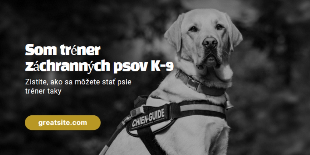 Som tréner záchranných psov black modern-simple