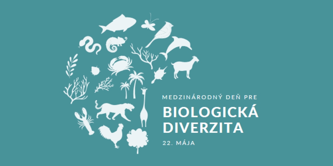 Oslava Svetového dňa biodiverzity blue modern-simple
