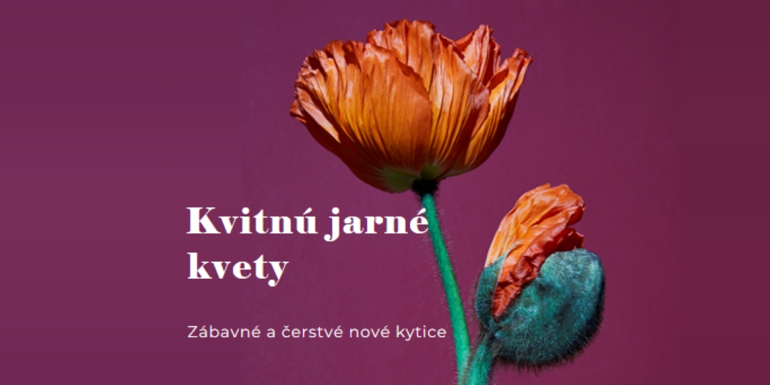 Čerstvé kvety purple modern-simple
