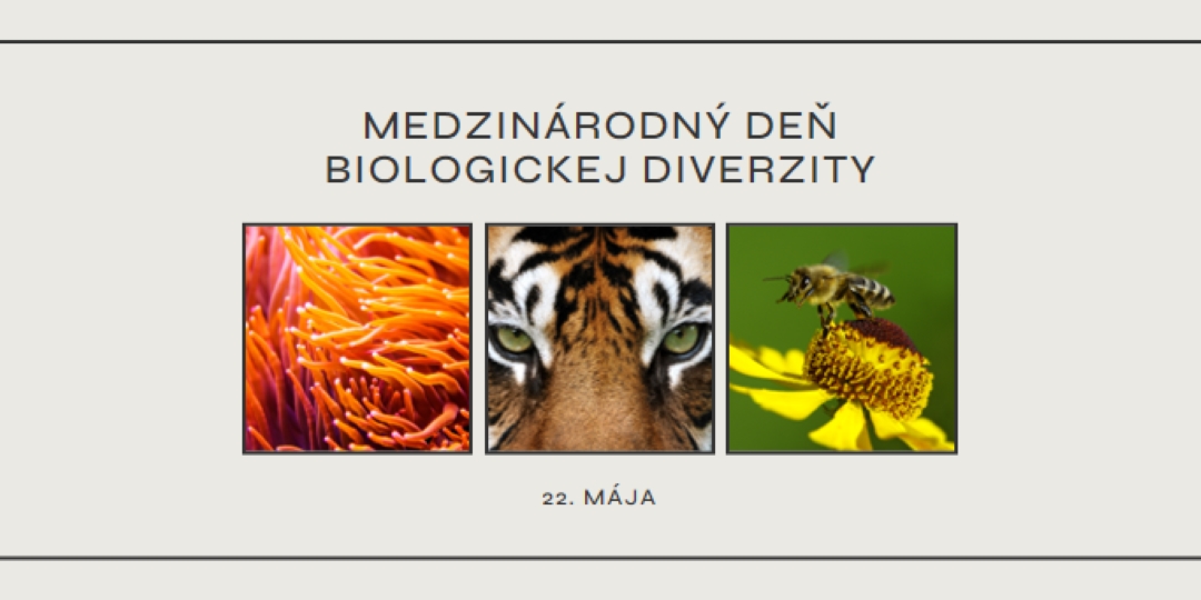 Oživenie prírody gray modern-simple