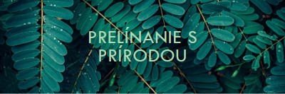 Prelínanie s prírodou green modern-simple