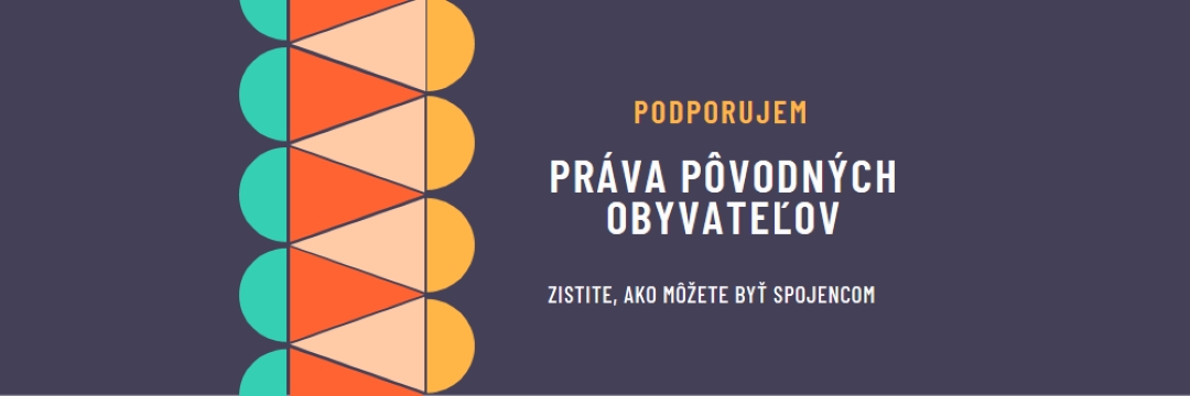 Podpora práv pôvodných obyvateľov blue modern-color-block