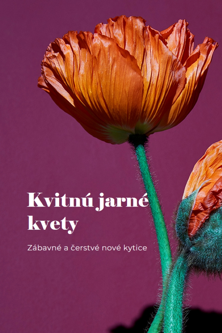 Čerstvé kvety purple modern-simple