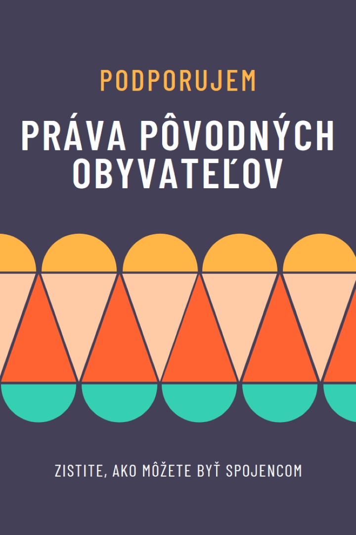 Podpora práv pôvodných obyvateľov blue modern-color-block