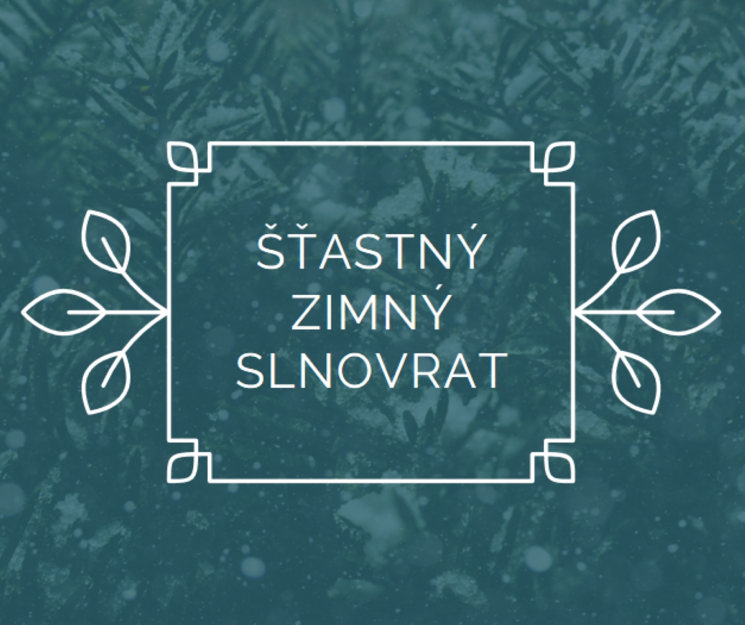 Zimný slnovrat green modern-simple