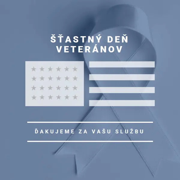 Ctiť veteránov USA gray modern-simple
