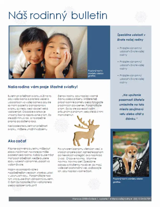 Rodinný vianočný bulletin