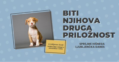 Pup z drugo priložnostjo blue modern-bold