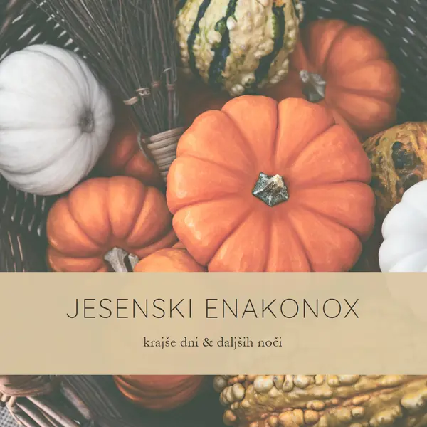 Praznjni jesenski enakonoj orange modern-simple