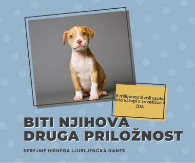 Pup z drugo priložnostjo blue modern-bold