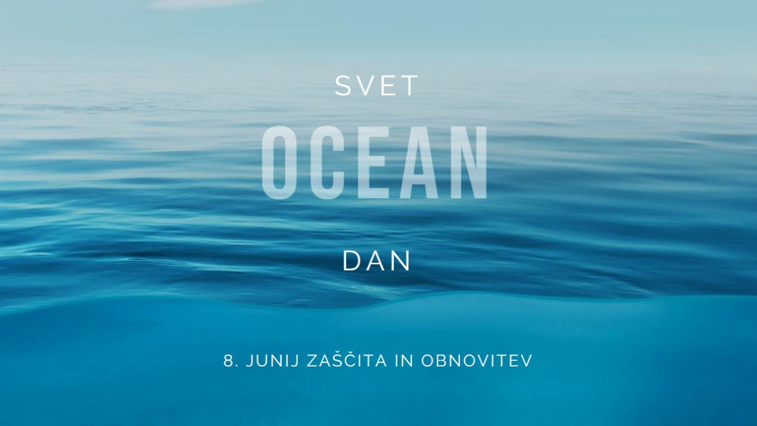 Pridobivanje soli blue modern-simple