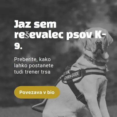 Jaz sem reševalec psov black modern-simple