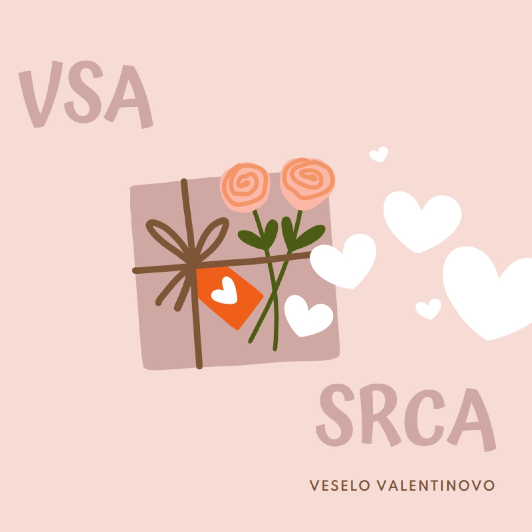 Vsa srca pink whimsical-color-block