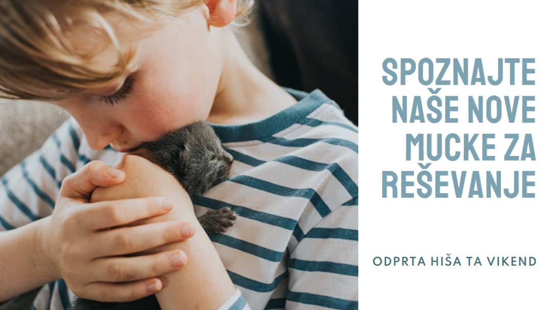 Spoznajte naše nove reševalce pink modern-simple