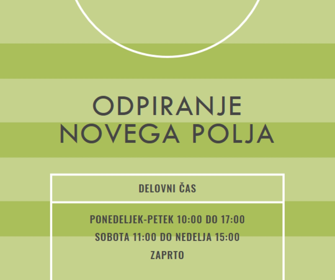 Cilji na področju green modern-geometric-&-linear