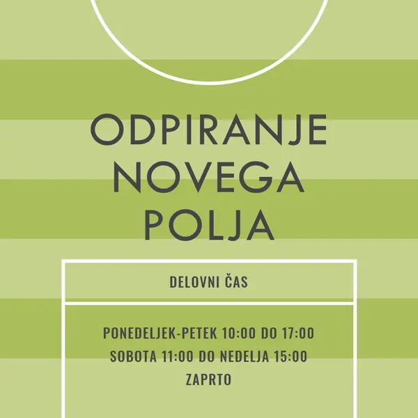 Cilji na področju green modern-geometric-&-linear