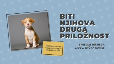 Pup z drugo priložnostjo blue modern-bold