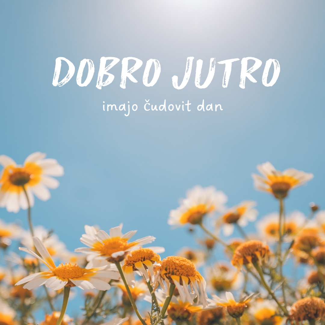 Naj vam bo sijajen dan blue modern,simple,photography,flowers,birght,fresh