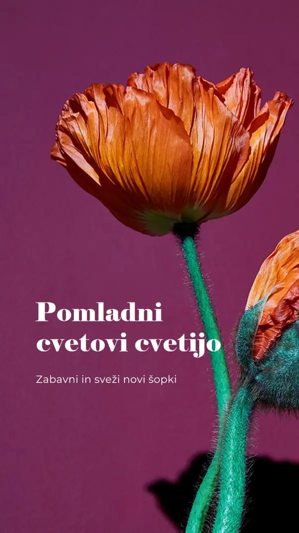 Sveže rože purple modern-simple