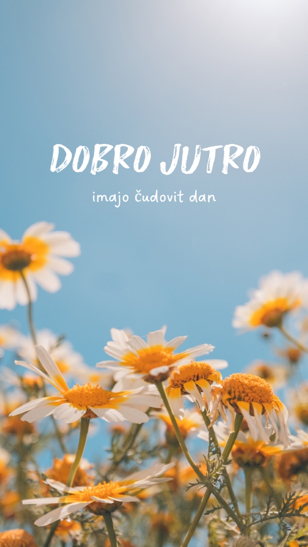 Naj vam bo sijajen dan blue modern,simple,photography,flowers,birght,fresh