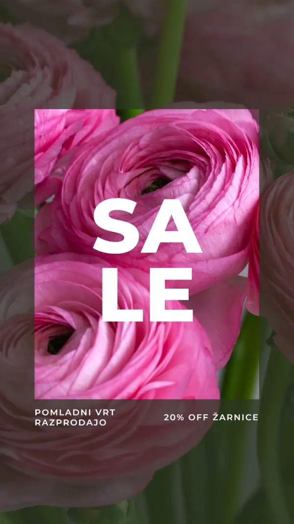 Pomladni vrti pink modern-simple