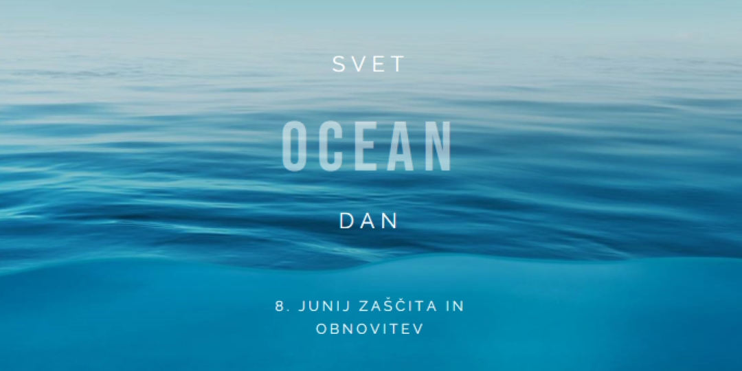 Pridobivanje soli blue modern-simple