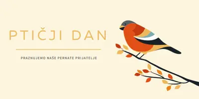 To je ptičji dan yellow whimsical-line