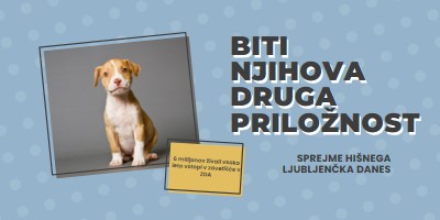 Pup z drugo priložnostjo blue modern-bold