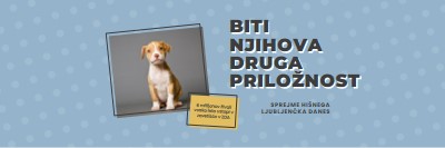 Pup z drugo priložnostjo blue modern-bold