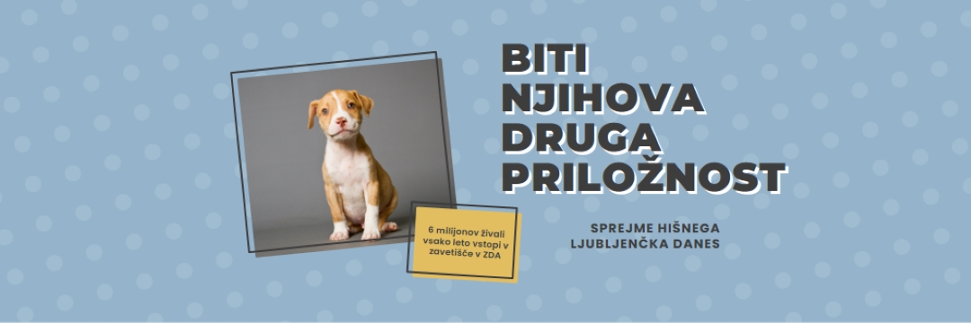 Pup z drugo priložnostjo blue modern-bold