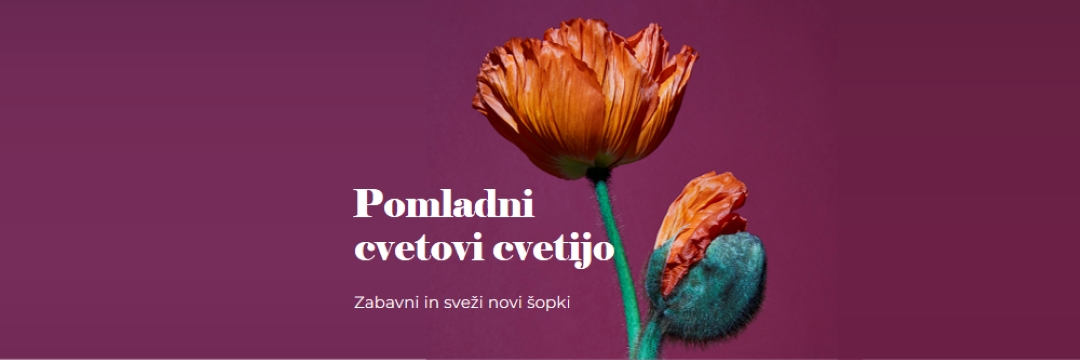 Sveže rože purple modern-simple