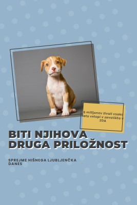 Pup z drugo priložnostjo blue modern-bold