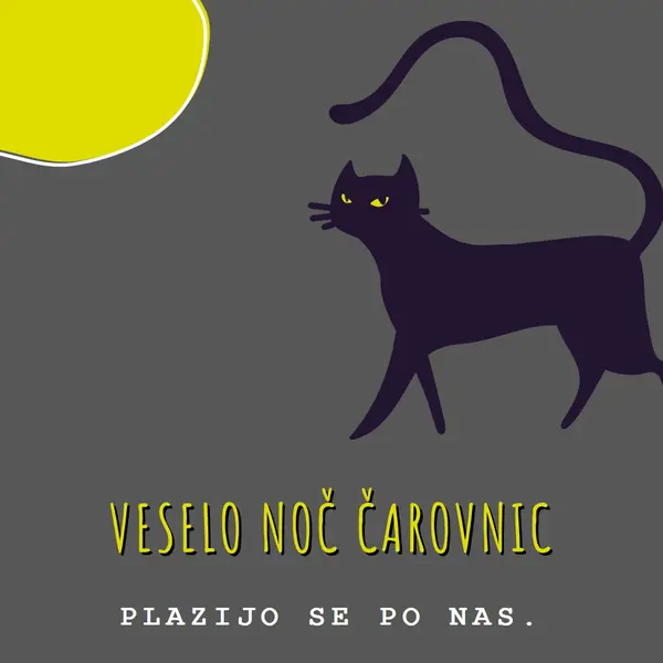Strašljiva mačka black whimsical-color-block