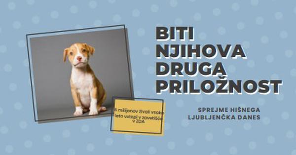 Pup z drugo priložnostjo blue modern-bold