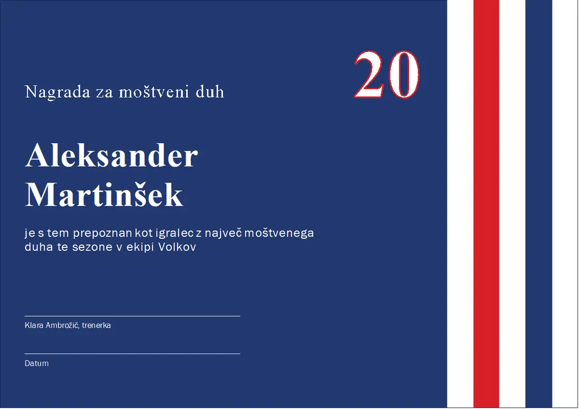 Nagrada za moštveni duh modern-color-block