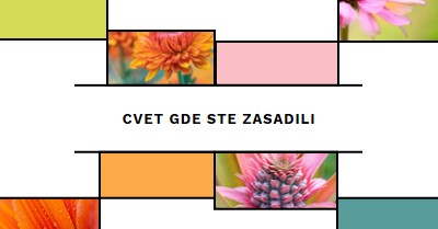 Cvet gde ste zasavljeni white modern-geo-&-linear