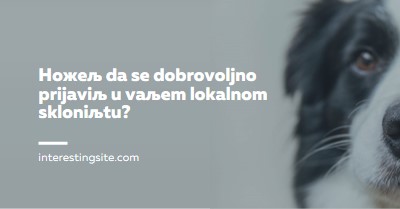 Dobrovoljno i unesite veselje blue modern-simple