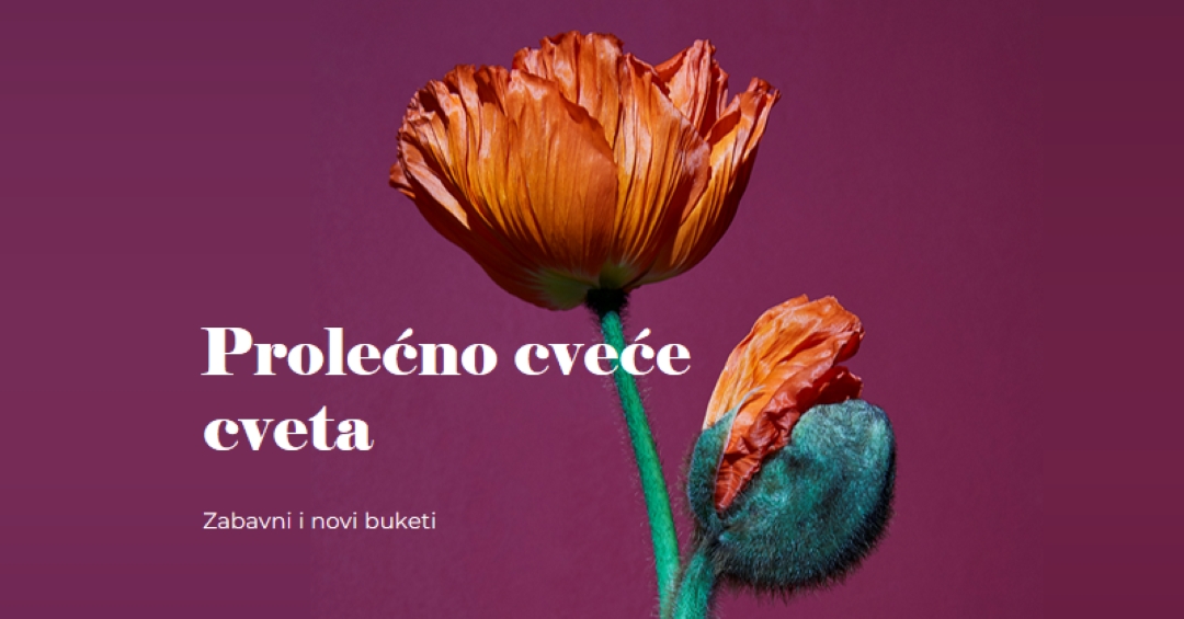 Sveže cveće purple modern-simple