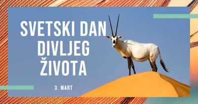 Slavimo divlje životinje orange modern-bold