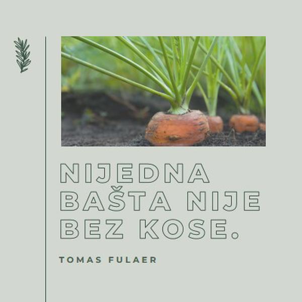 Duboki koreni green modern-simple