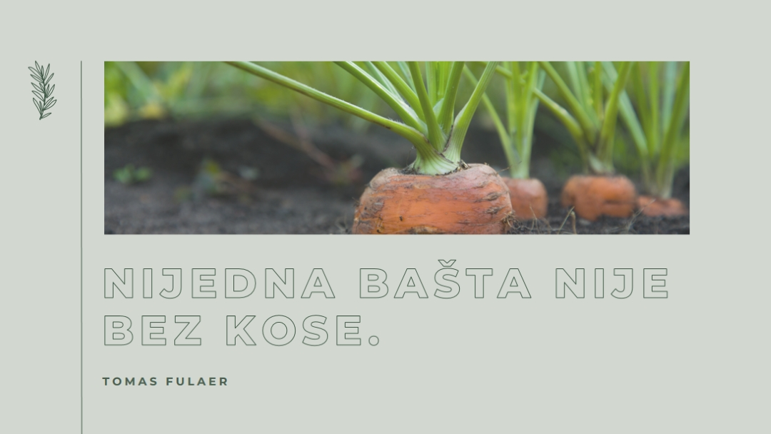 Duboki koreni green modern-simple